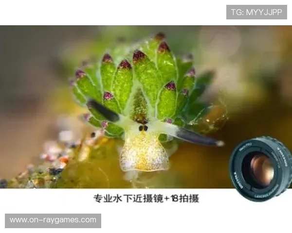 智能手机水下摄影全攻略教材出版DIVEVOLK创始人携手打造创新影像指南